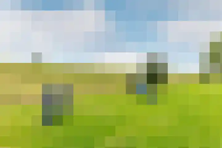 Bezaansmast 16 Hellevoetsluis thumbnail 38