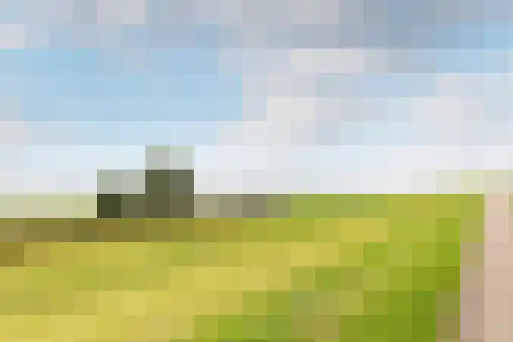 Bezaansmast 16 Hellevoetsluis thumbnail 39