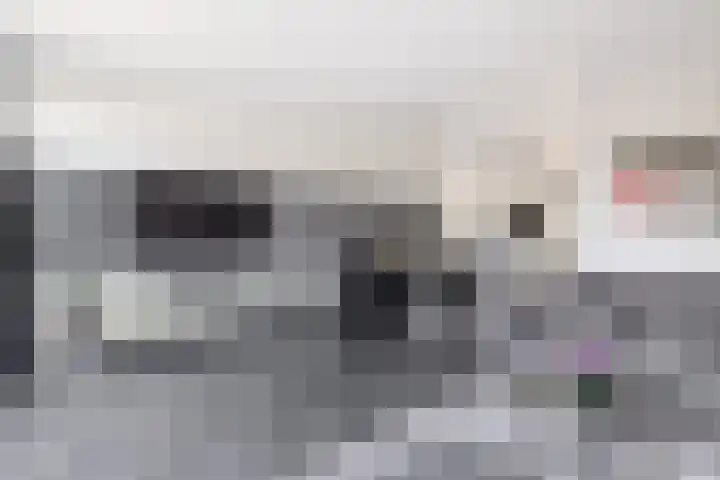 Bezaansmast 6 Hellevoetsluis thumbnail 20
