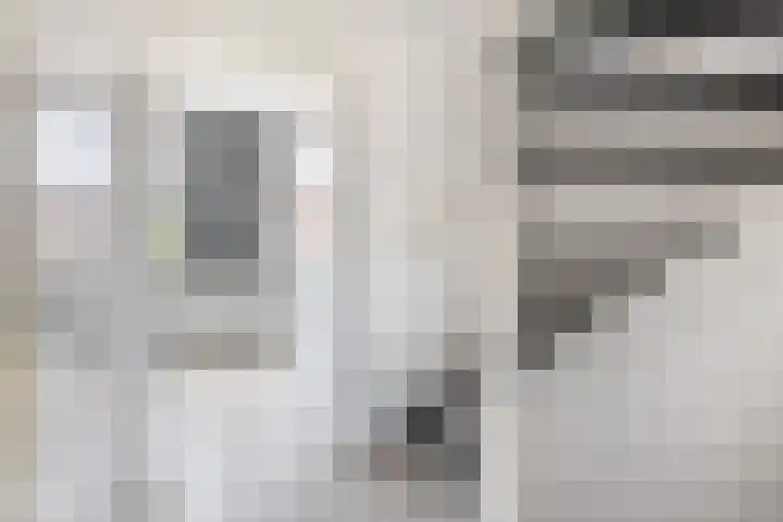 Bezaansmast 6 Hellevoetsluis thumbnail 32