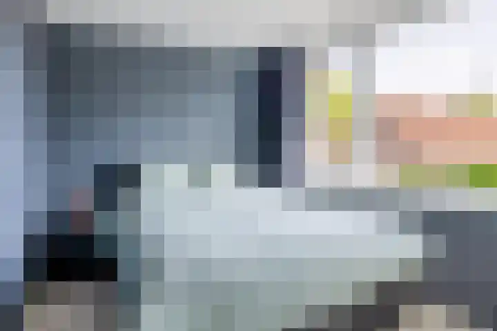 Bezaansmast 6 Hellevoetsluis thumbnail 33