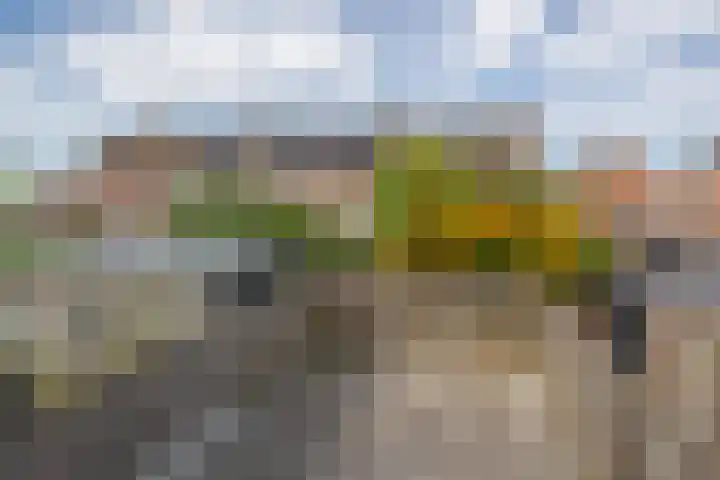 Bezaansmast 6 Hellevoetsluis thumbnail 41