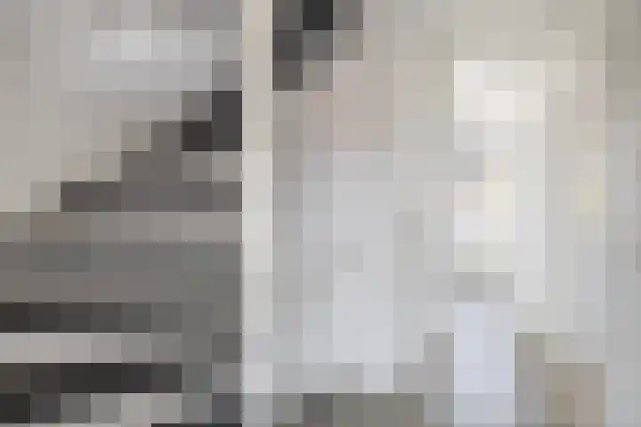 Bezaansmast 6 Hellevoetsluis thumbnail 42