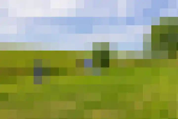 Bezaansmast 6 Hellevoetsluis thumbnail 47