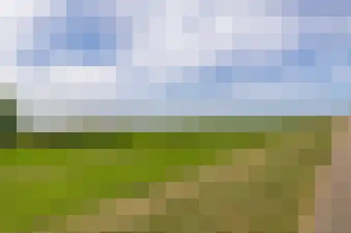 Bezaansmast 6 Hellevoetsluis thumbnail 48