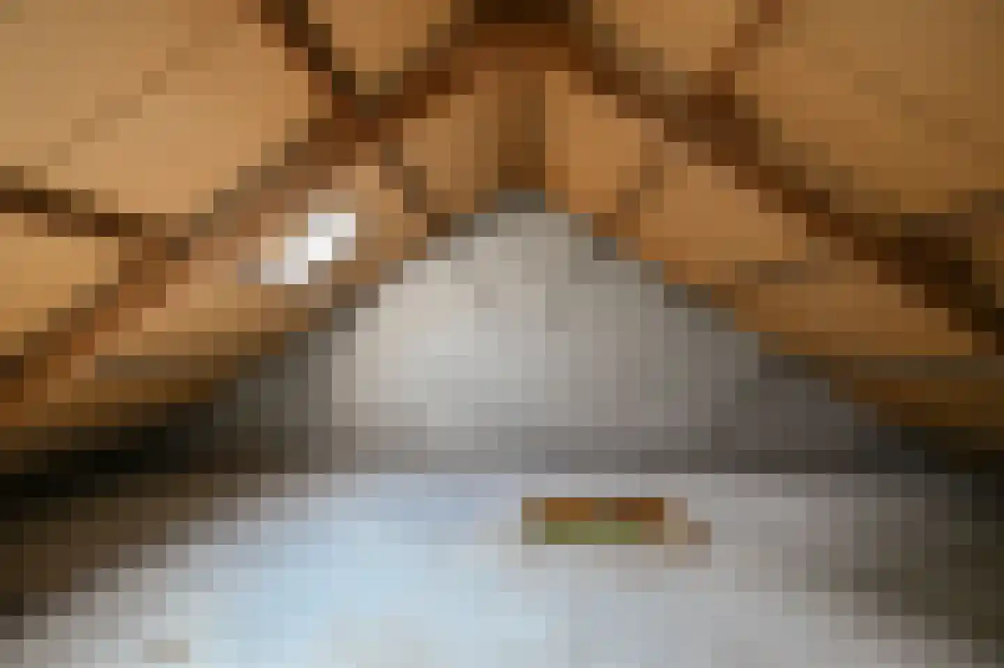 Bezaanstraat 18 Zaandam thumbnail 21