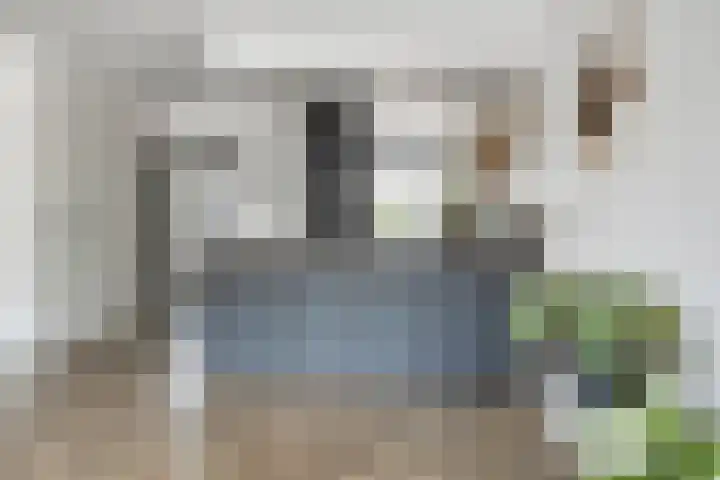 Bezaanzeil 14 Krimpen aan den IJssel thumbnail 11