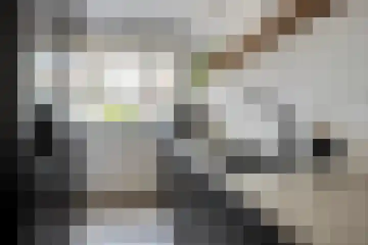 Bezaanzeil 14 Krimpen aan den IJssel thumbnail 13