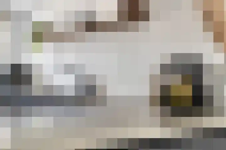 Bezaanzeil 14 Krimpen aan den IJssel thumbnail 14