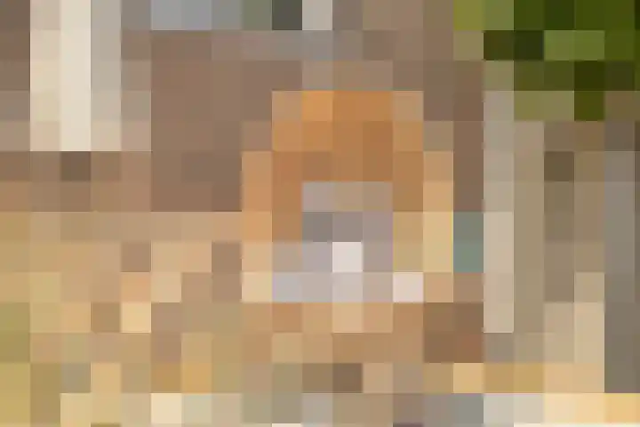 Bezaanzeil 14 Krimpen aan den IJssel thumbnail 35