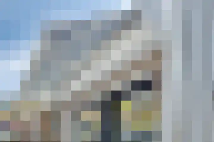 Bezaanzeil 14 Krimpen aan den IJssel thumbnail 36