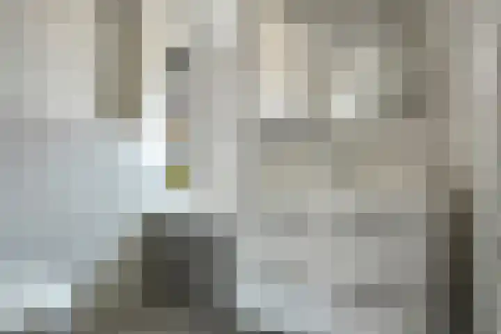 Bezaanzeil 14 Krimpen aan den IJssel thumbnail 5