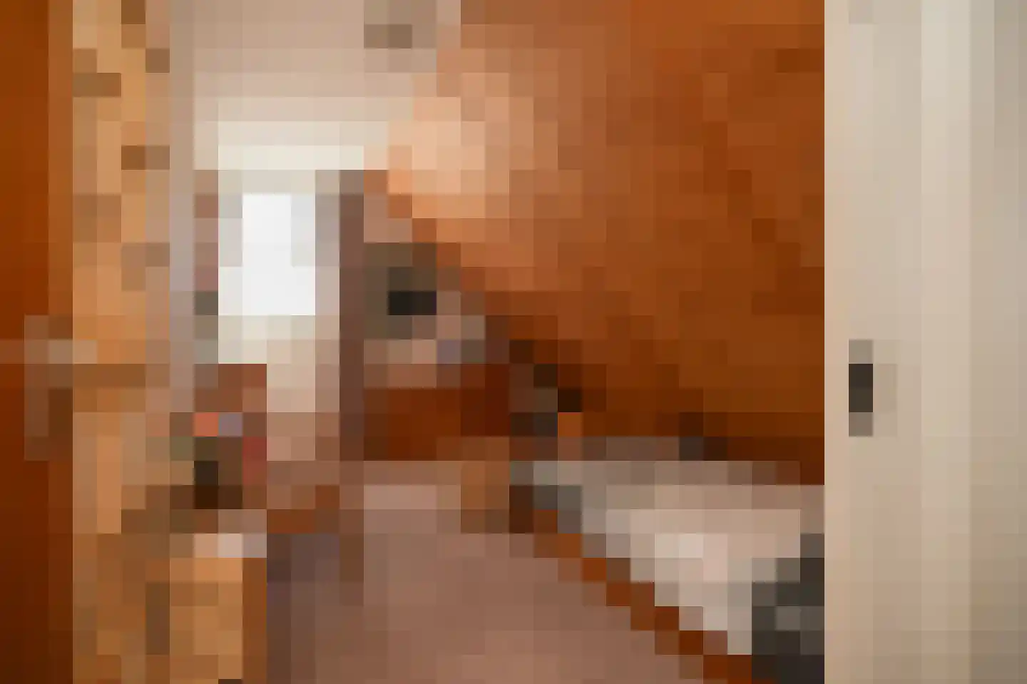 Bezander 3 Heukelum thumbnail 24