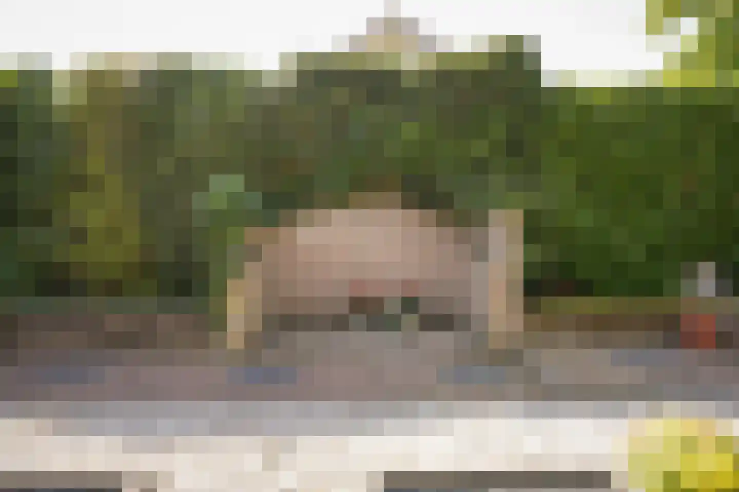Bezander 3 Heukelum thumbnail 29
