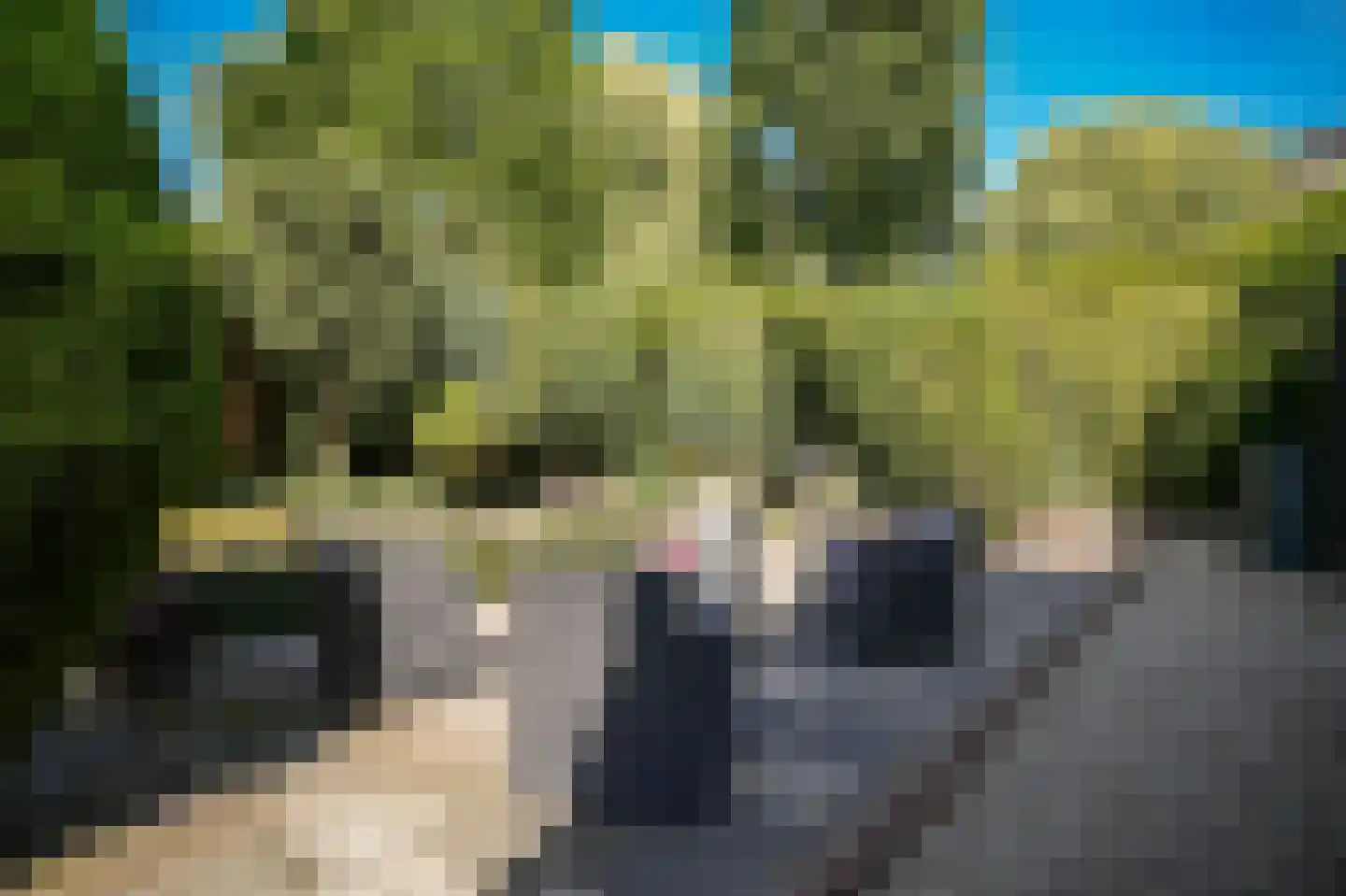 Bezander 3 Heukelum thumbnail 33
