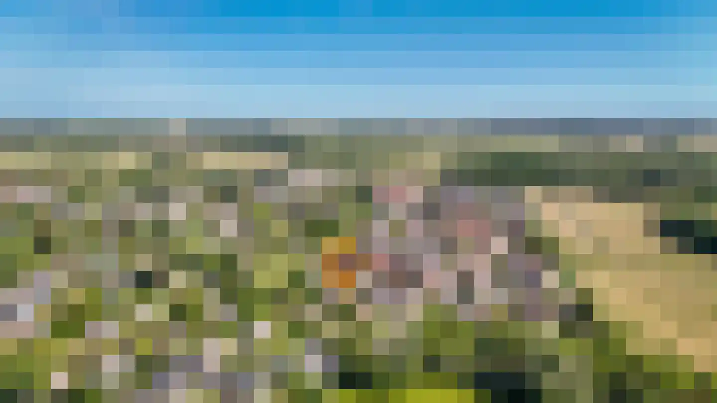 Bezander 3 Heukelum thumbnail 39