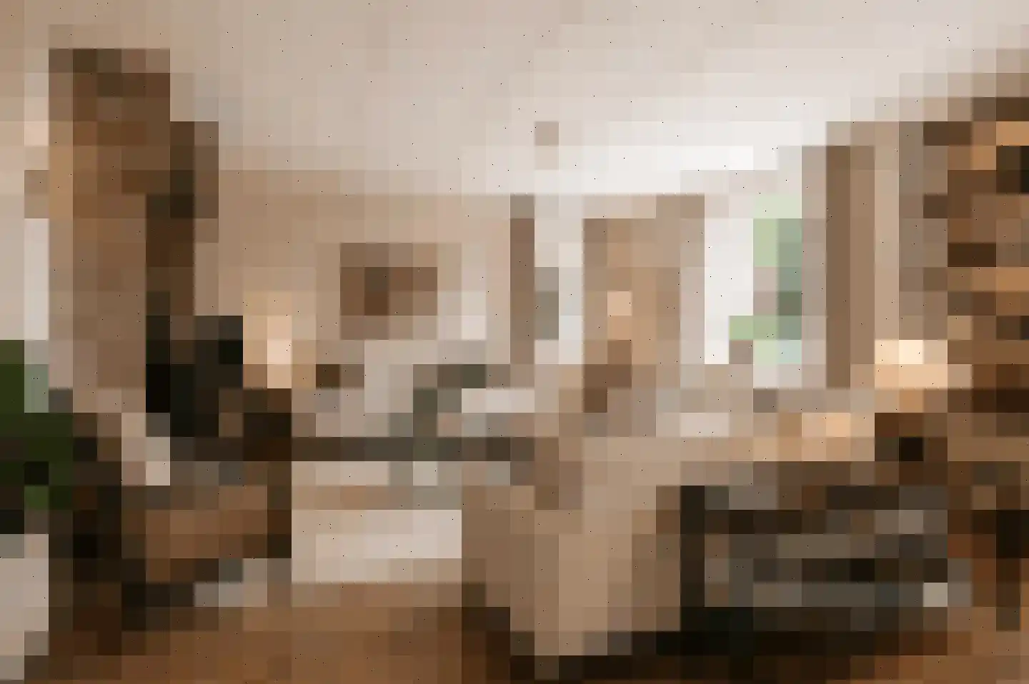 Bezander 3 Heukelum thumbnail 8