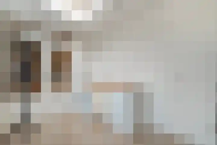 Bezantijnenstraat 2 a Gramsbergen thumbnail 15