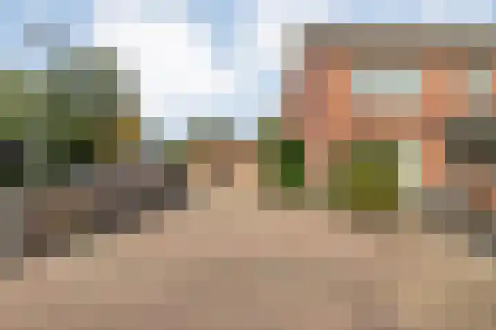 Bezantijnenstraat 2 a Gramsbergen thumbnail 36