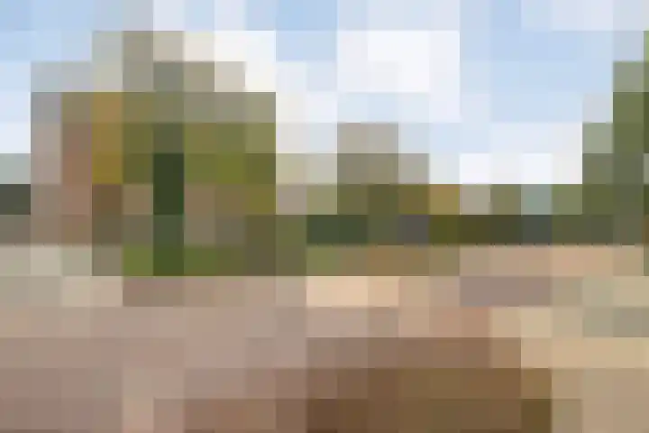 Bezantijnenstraat 2 a Gramsbergen thumbnail 4