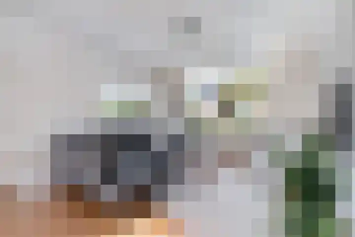 Bezantijnenstraat 2 a Gramsbergen thumbnail 7