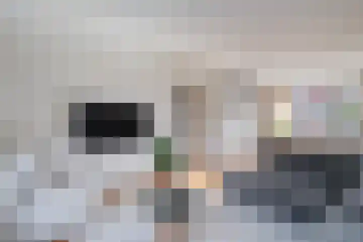 Bezantijnenstraat 2 a Gramsbergen thumbnail 8