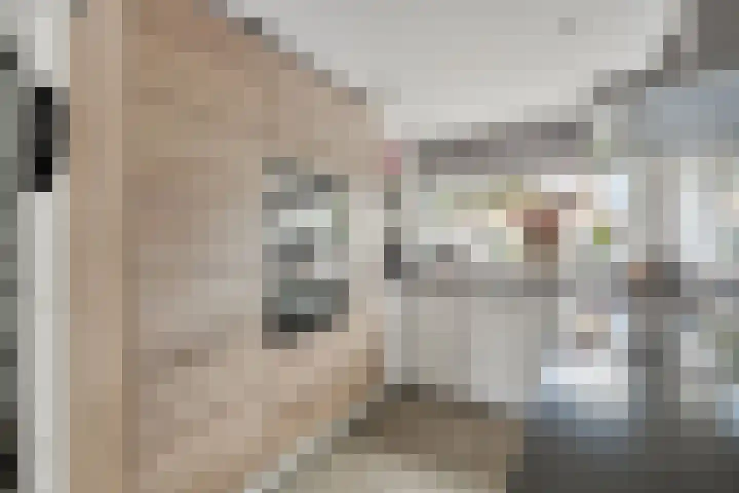 Bezeel 40 Rhoon thumbnail 13
