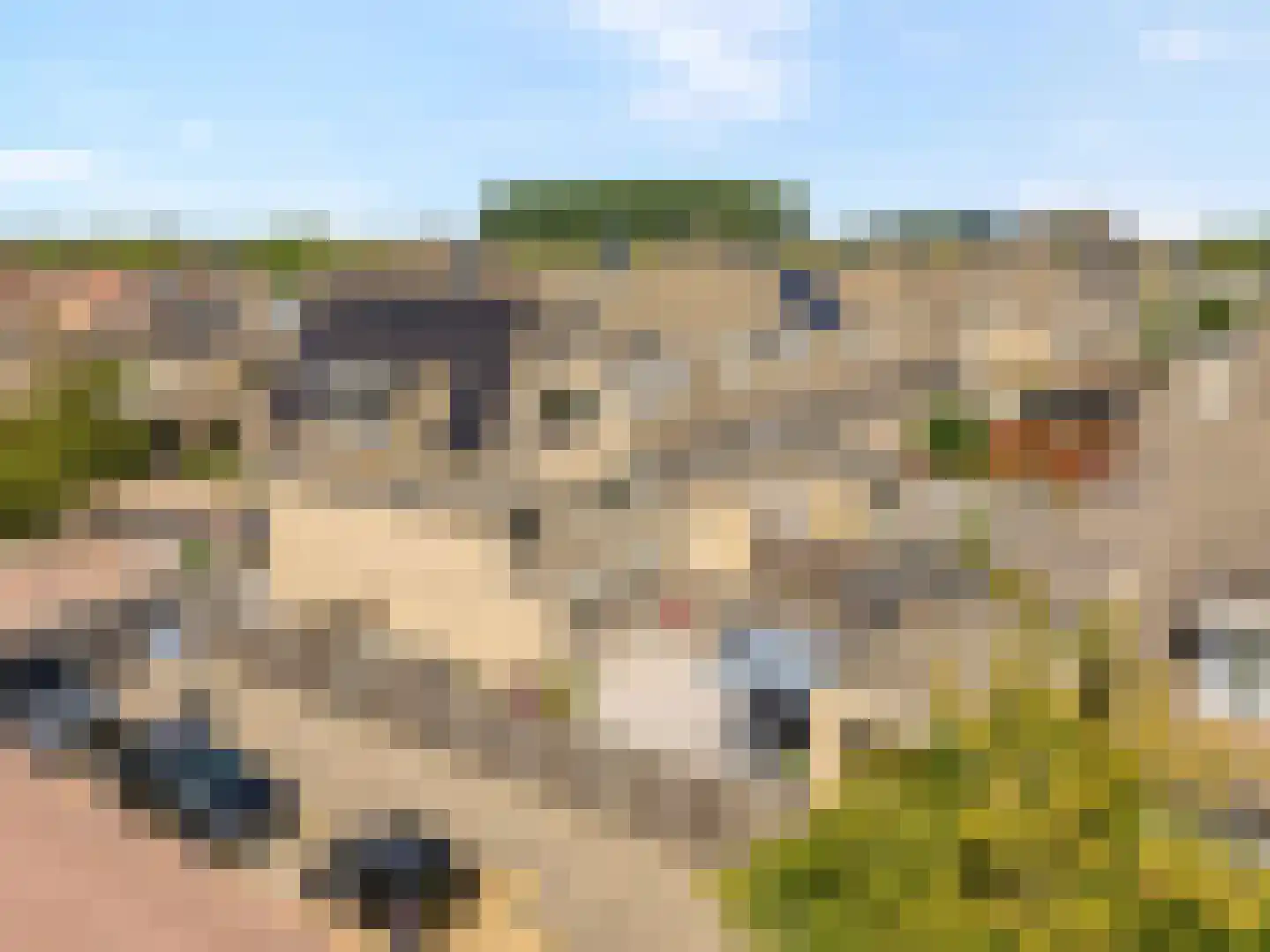 Bezeel 40 Rhoon thumbnail 39