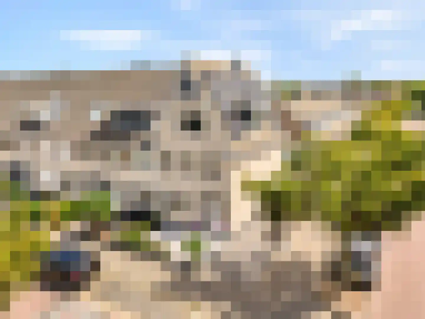 Bezeel 40 Rhoon thumbnail 6