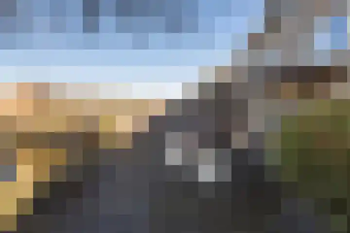 Bezeel 43 Rhoon thumbnail 22