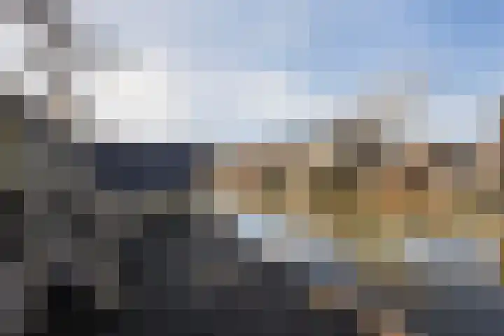 Bezeel 43 Rhoon thumbnail 24