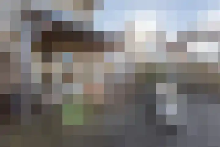Bezeel 43 Rhoon thumbnail 26