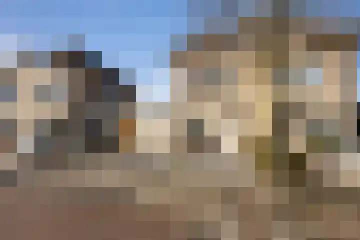 Bezeel 43 Rhoon thumbnail 45