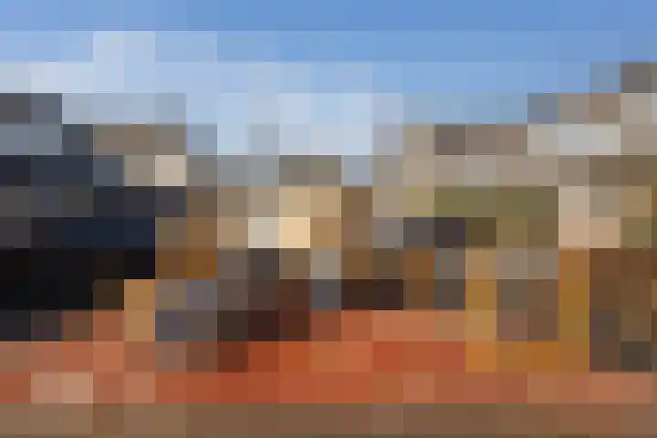 Bezeel 43 Rhoon thumbnail 46
