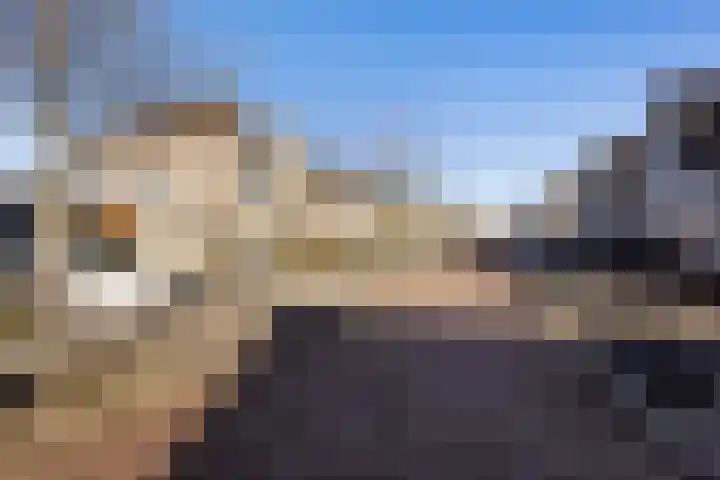 Bezeel 43 Rhoon thumbnail 47