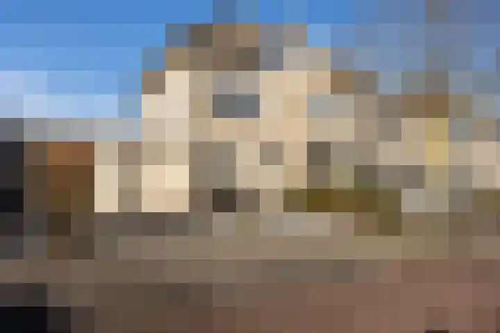 Bezeel 43 Rhoon thumbnail 6