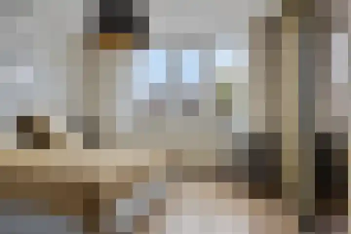 Bezeel 47 Rhoon thumbnail 14