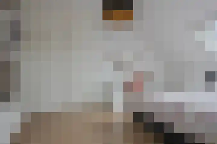 Bezeel 47 Rhoon thumbnail 24