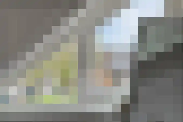 Bezeel 47 Rhoon thumbnail 27