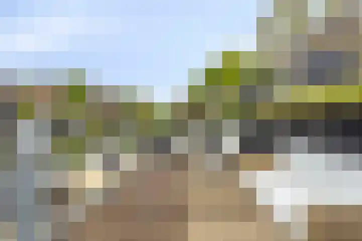 Bezeel 47 Rhoon thumbnail 33