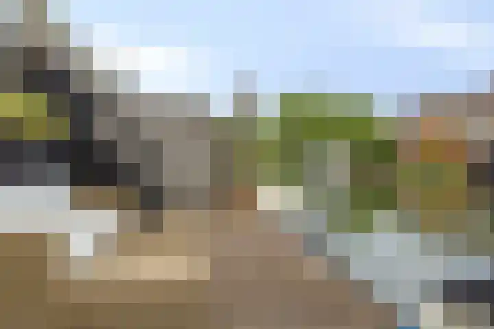 Bezeel 47 Rhoon thumbnail 34