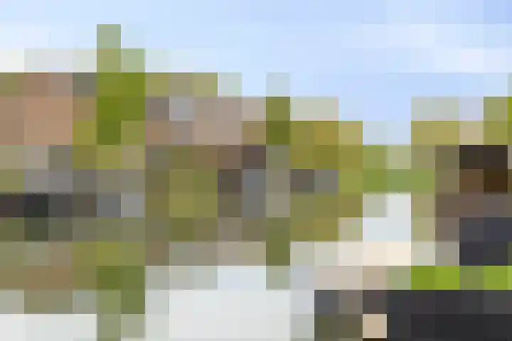 Bezeel 47 Rhoon thumbnail 38