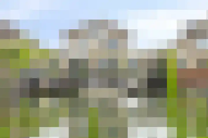 Bezeel 47 Rhoon thumbnail 39