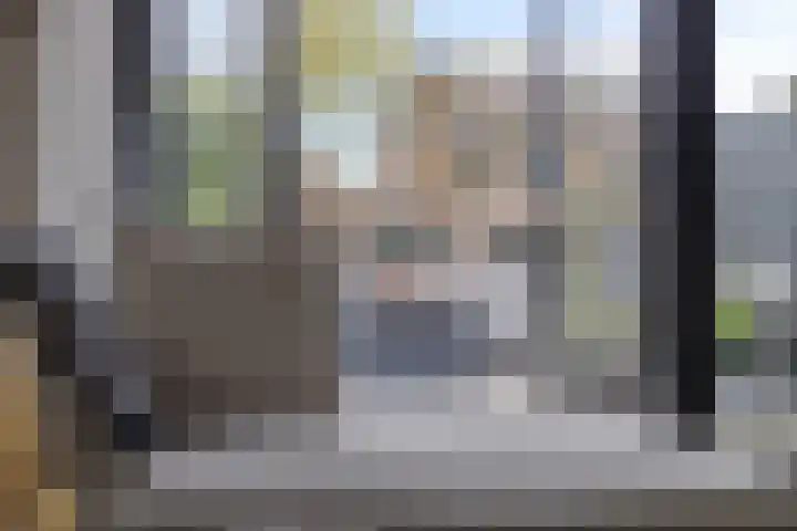 Bezeel 47 Rhoon thumbnail 8