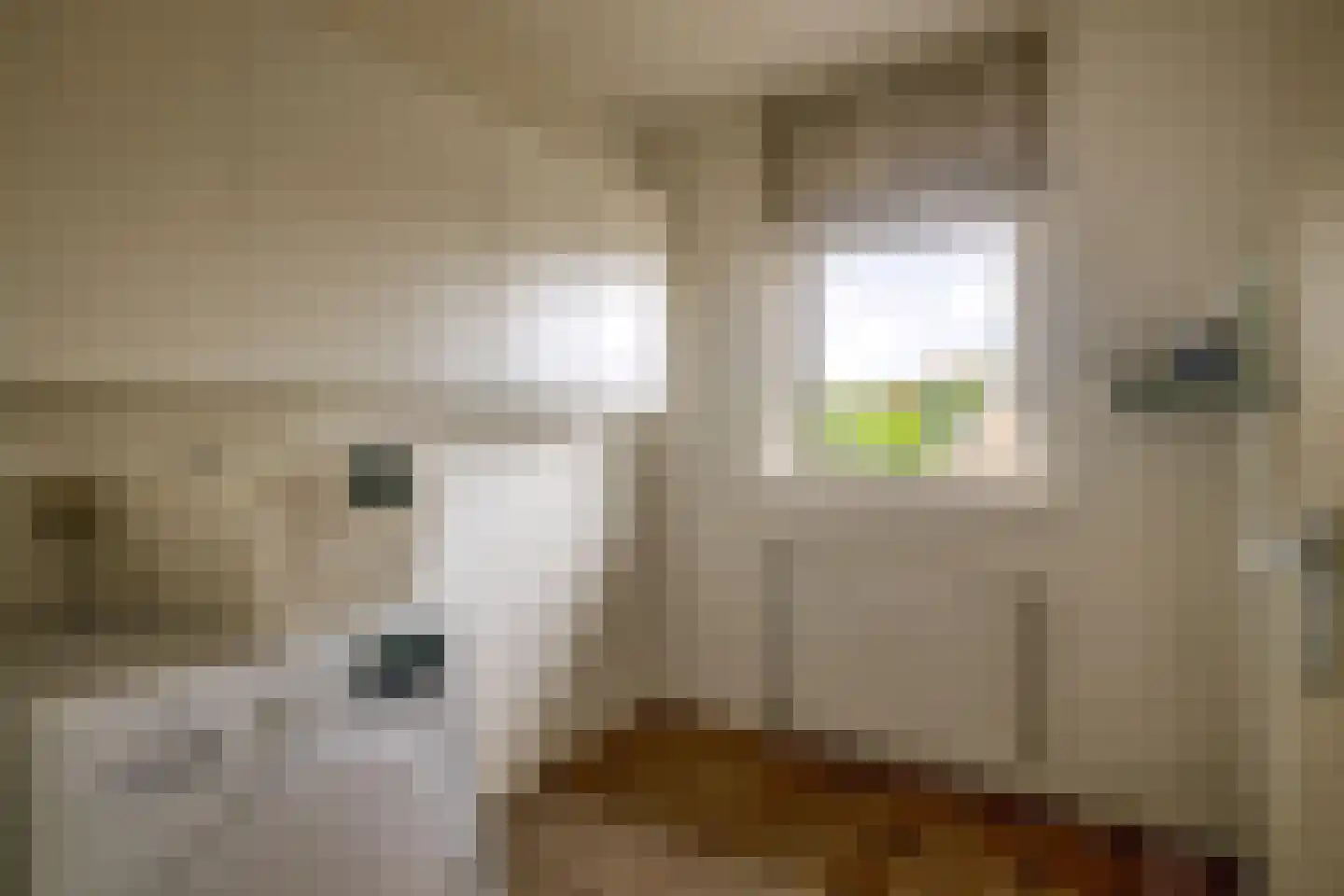 Bezeel 6 Rhoon thumbnail 25