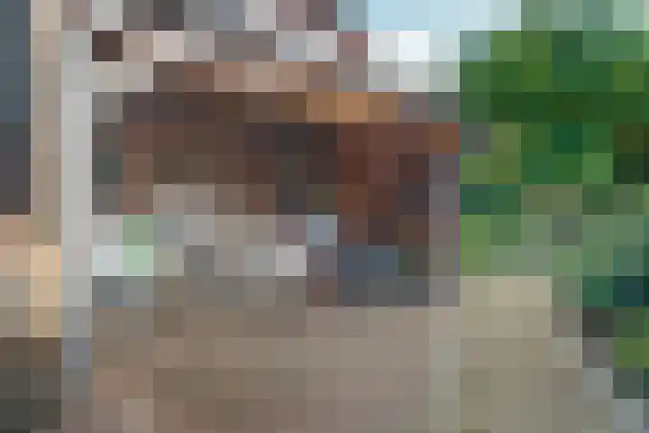 Bezelhorstweg 2 Doetinchem thumbnail 57