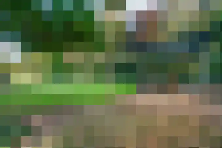 Bezelhorstweg 2 Doetinchem thumbnail 59