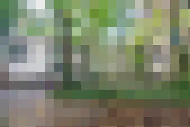 Bezelhorstweg 2 Doetinchem thumbnail 60