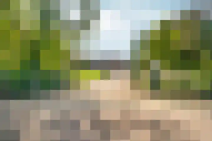 Bezelhorstweg 2 Doetinchem thumbnail 66