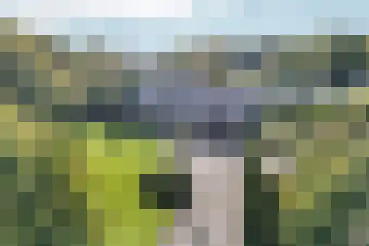 Bezelhorstweg 2 Doetinchem thumbnail 69